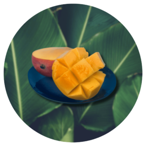 Fruit de saison Mangue