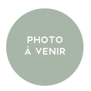 Frites