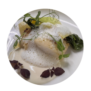 Black Cod